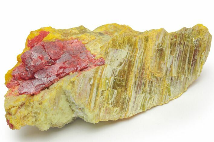 Vibrant Orpiment and Realgar Association - Russia #220280